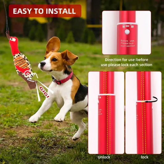 Extendable Flirt Pole — Chase & Tug Toy