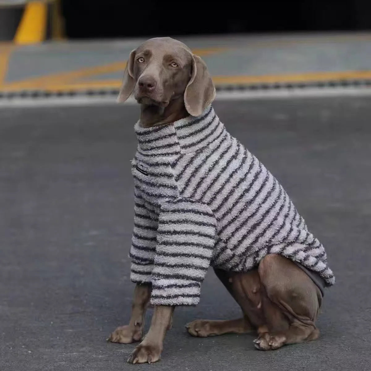 Striped sweater for large dogs