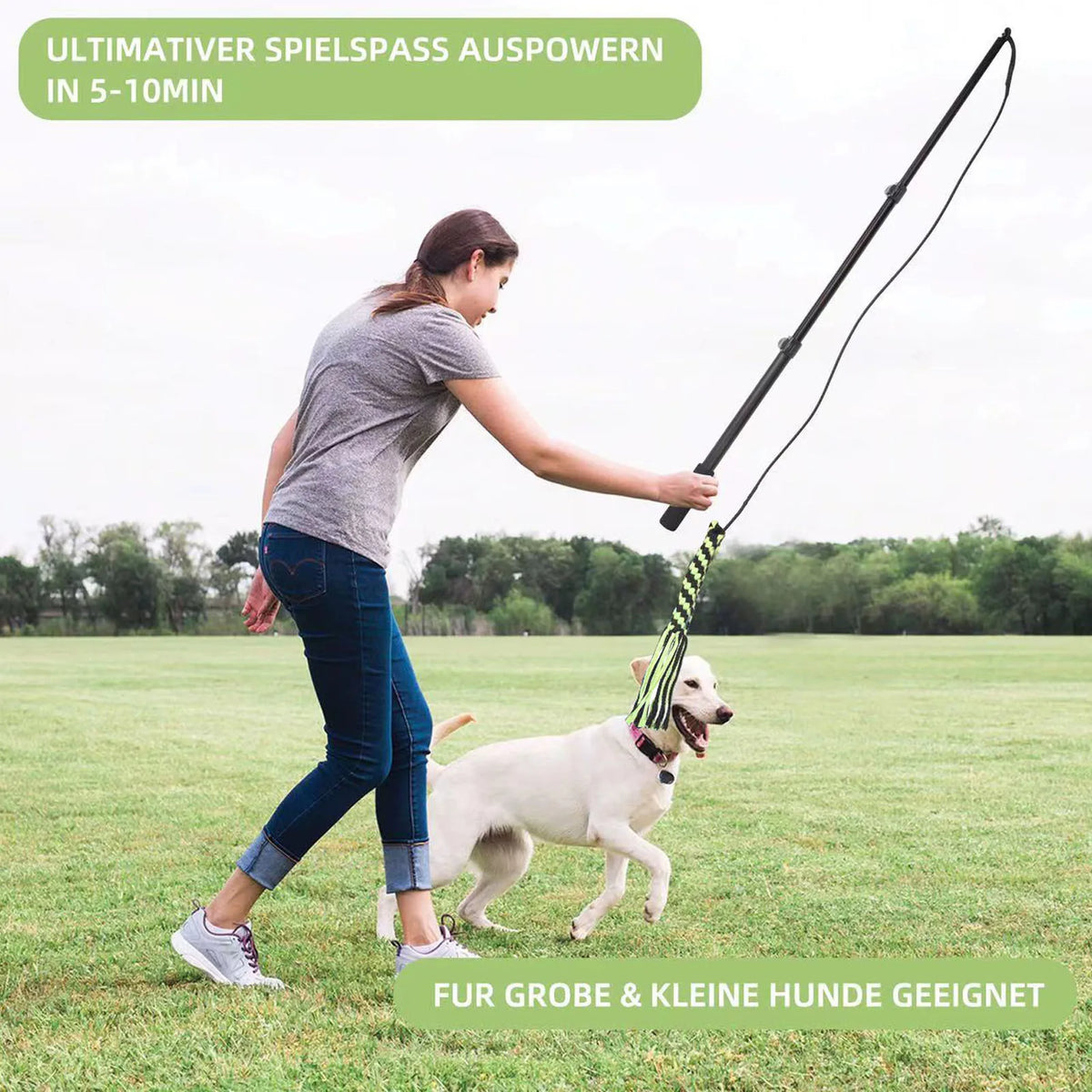 Extendable Flirt Pole Set — 3 Interchangeable Lures