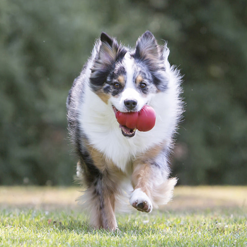 KONG Classic Dog Toy — Red