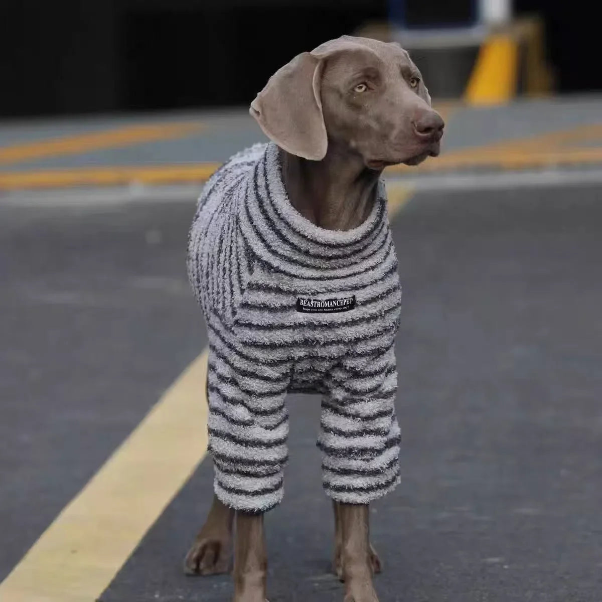 Striped sweater for large dogs