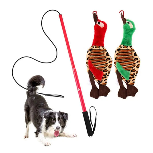Extendable Flirt Pole — Chase & Tug Toy