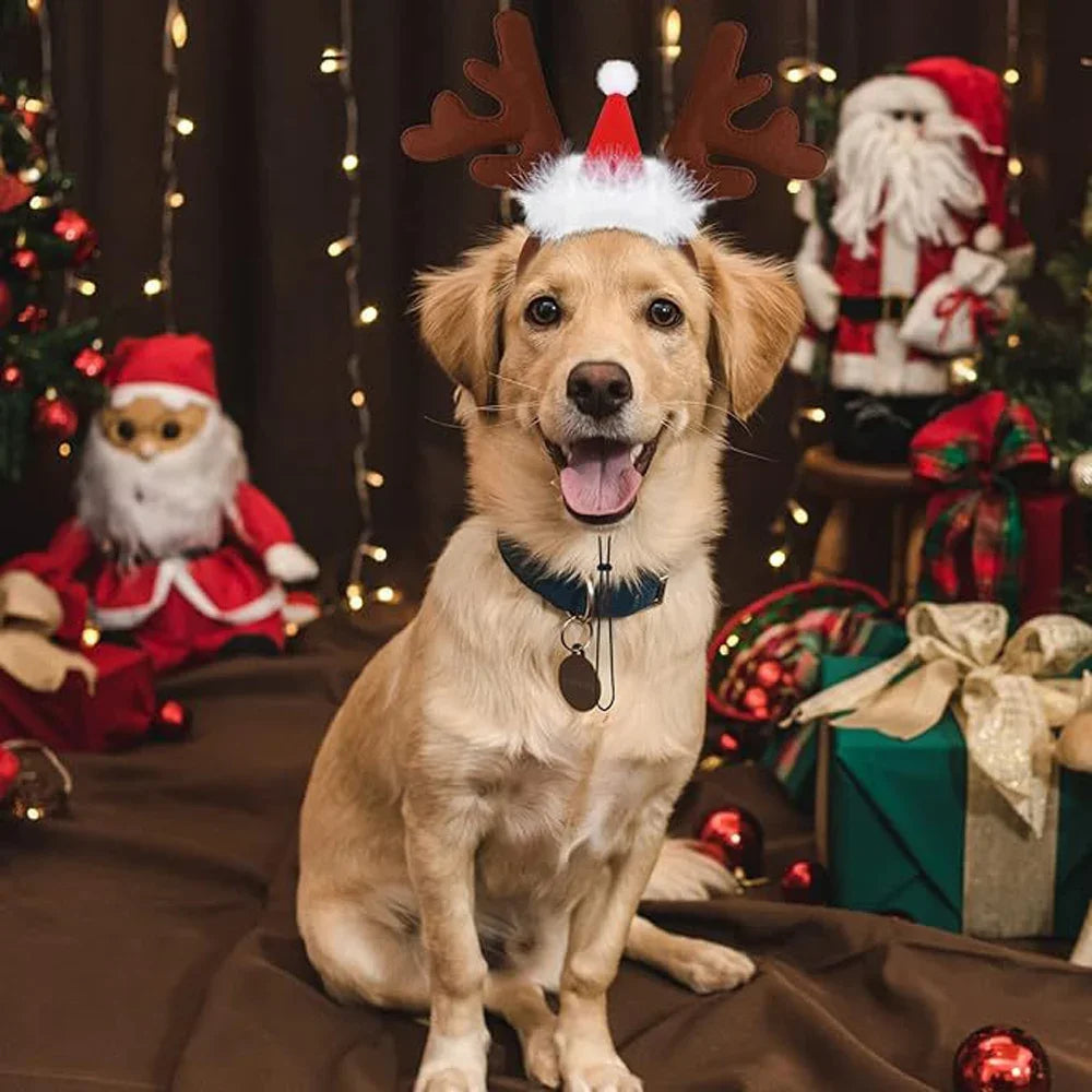 Reindeer Antlers Dog Headband — Holiday Costume for Medium & Large Dogs