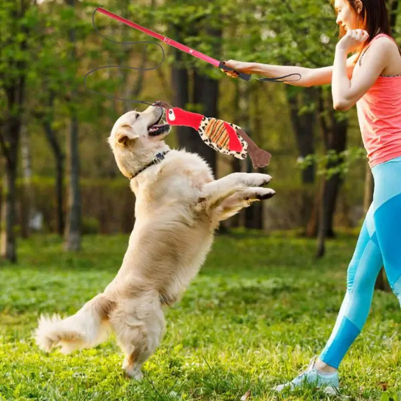Extendable Flirt Pole — Chase & Tug Toy