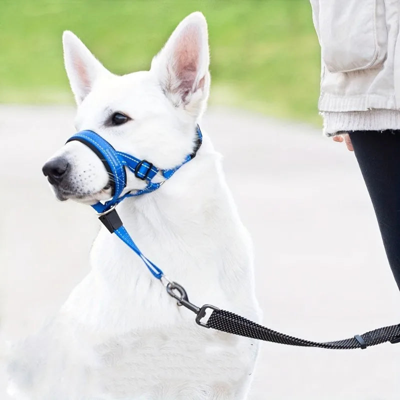 Padded No-Pull Head Halter — Reflective Comfort Fit (S–XL)