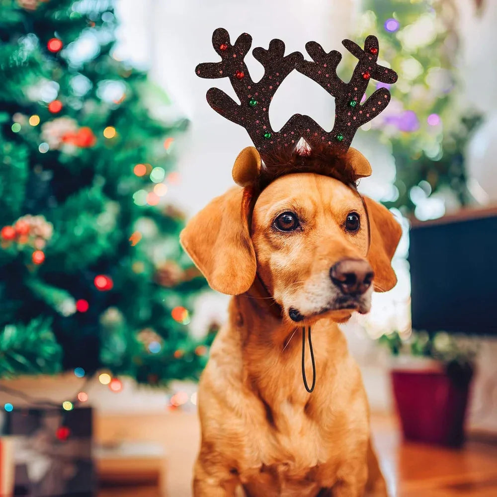 Reindeer Antlers Dog Headband — Holiday Costume for Medium & Large Dogs