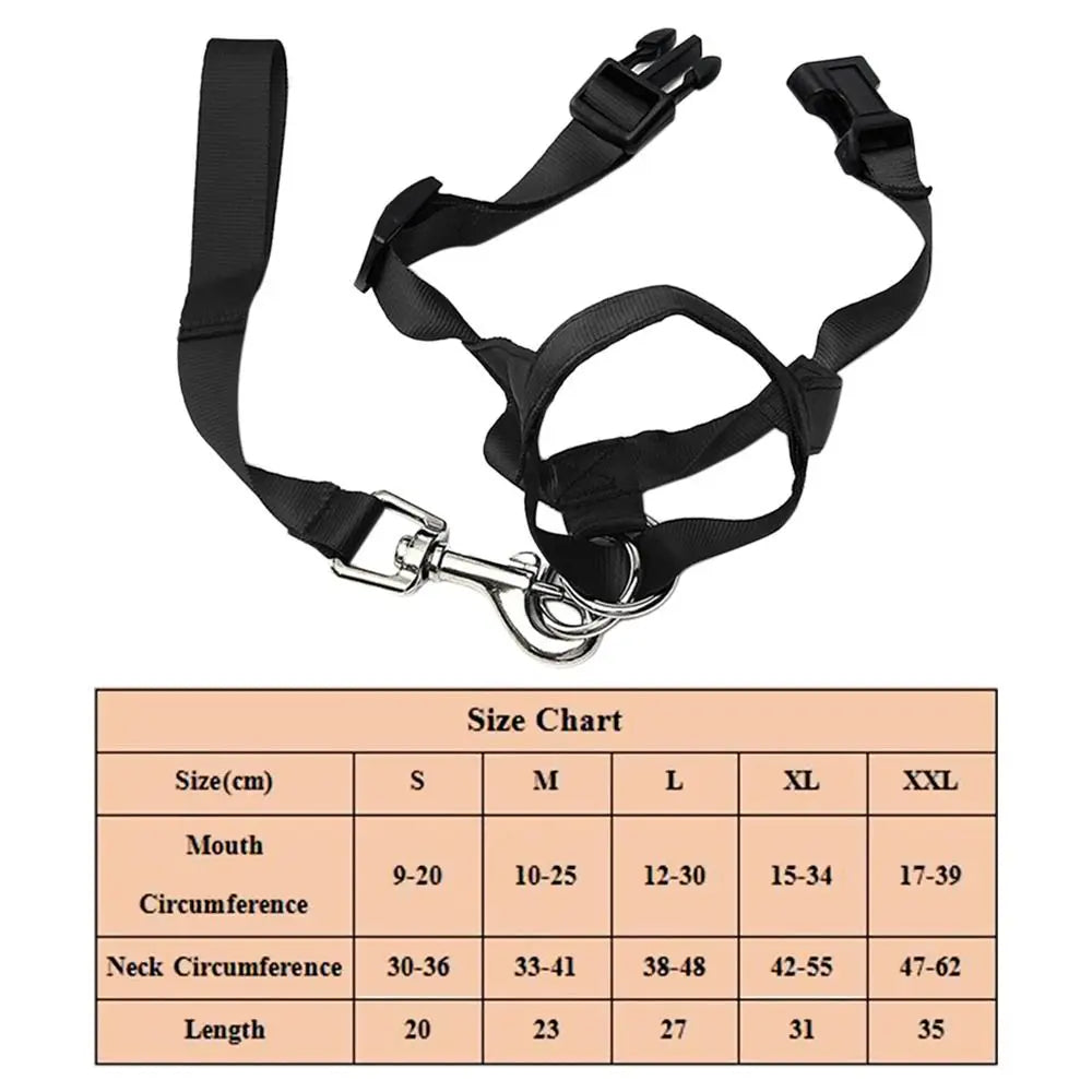 Basic No-Pull Head Halter — Black (S–XXL)