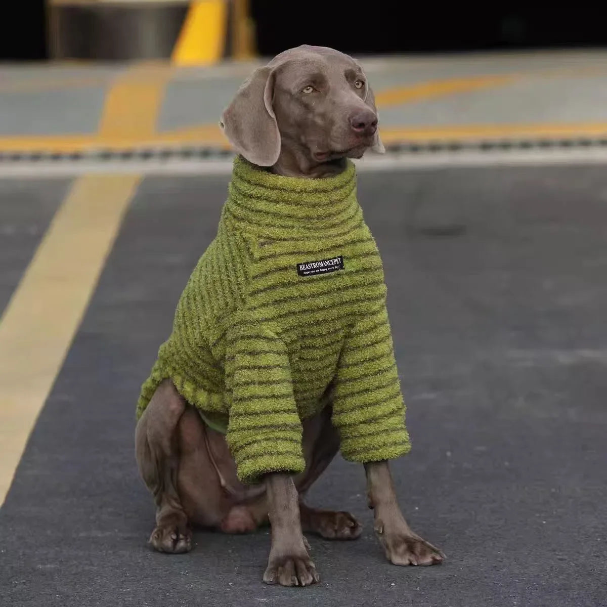 Striped sweater for large dogs
