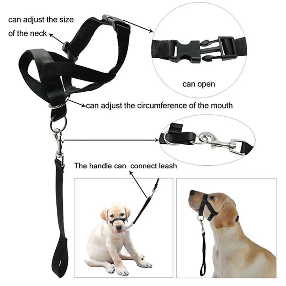 Basic No-Pull Head Halter — Black (S–XXL)