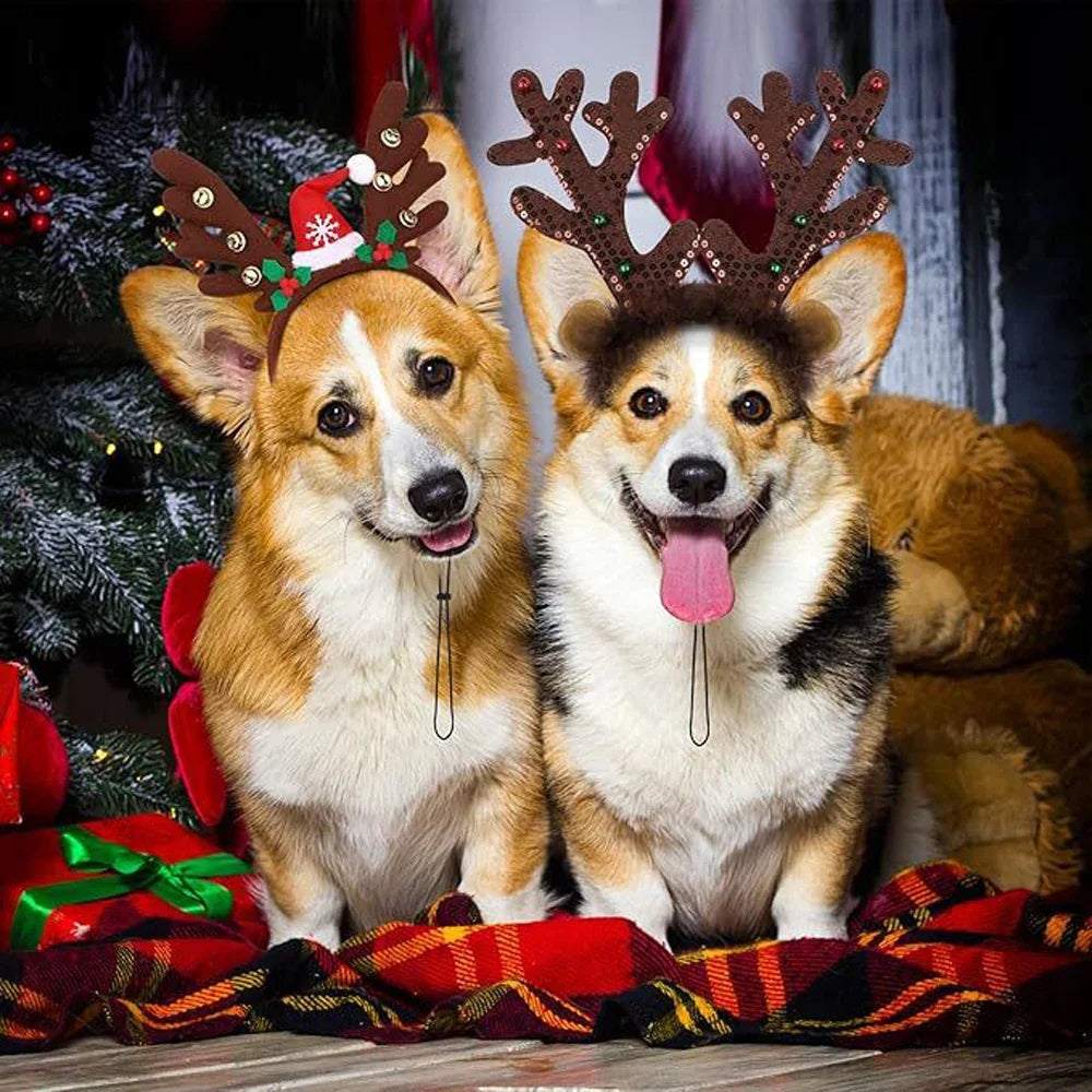 Reindeer Antlers Dog Headband — Holiday Costume for Medium & Large Dogs