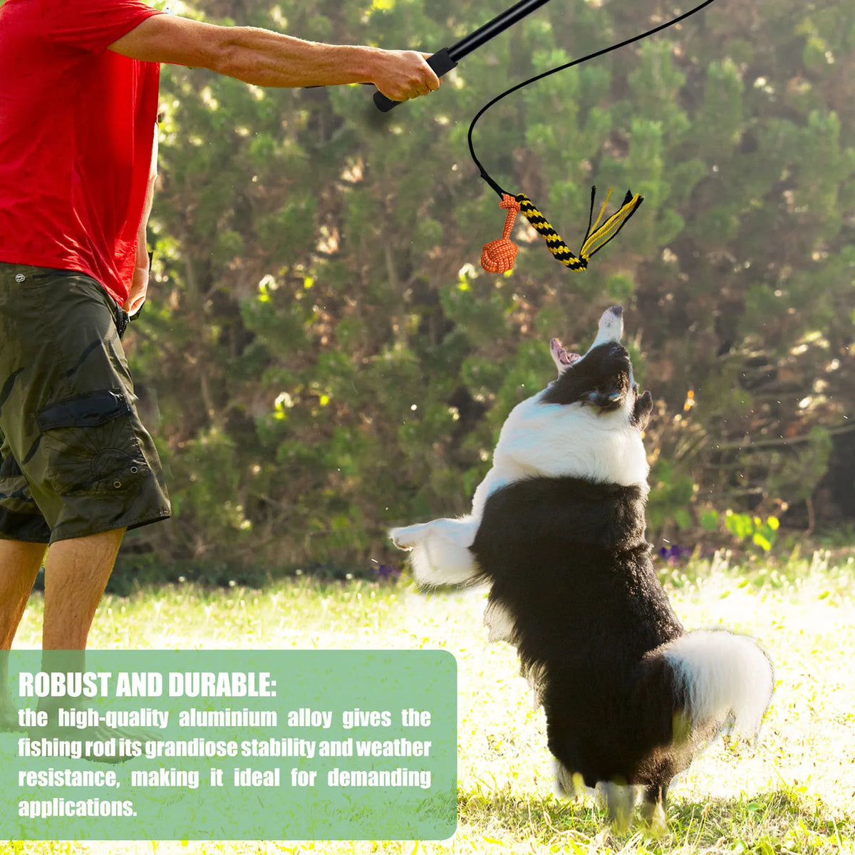 Extendable Flirt Pole Set — 3 Interchangeable Lures