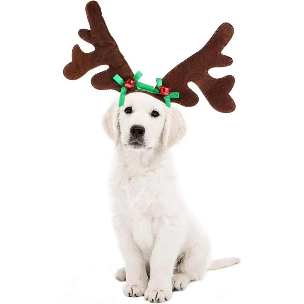 Reindeer Antlers Dog Headband — Holiday Costume for Medium & Large Dogs