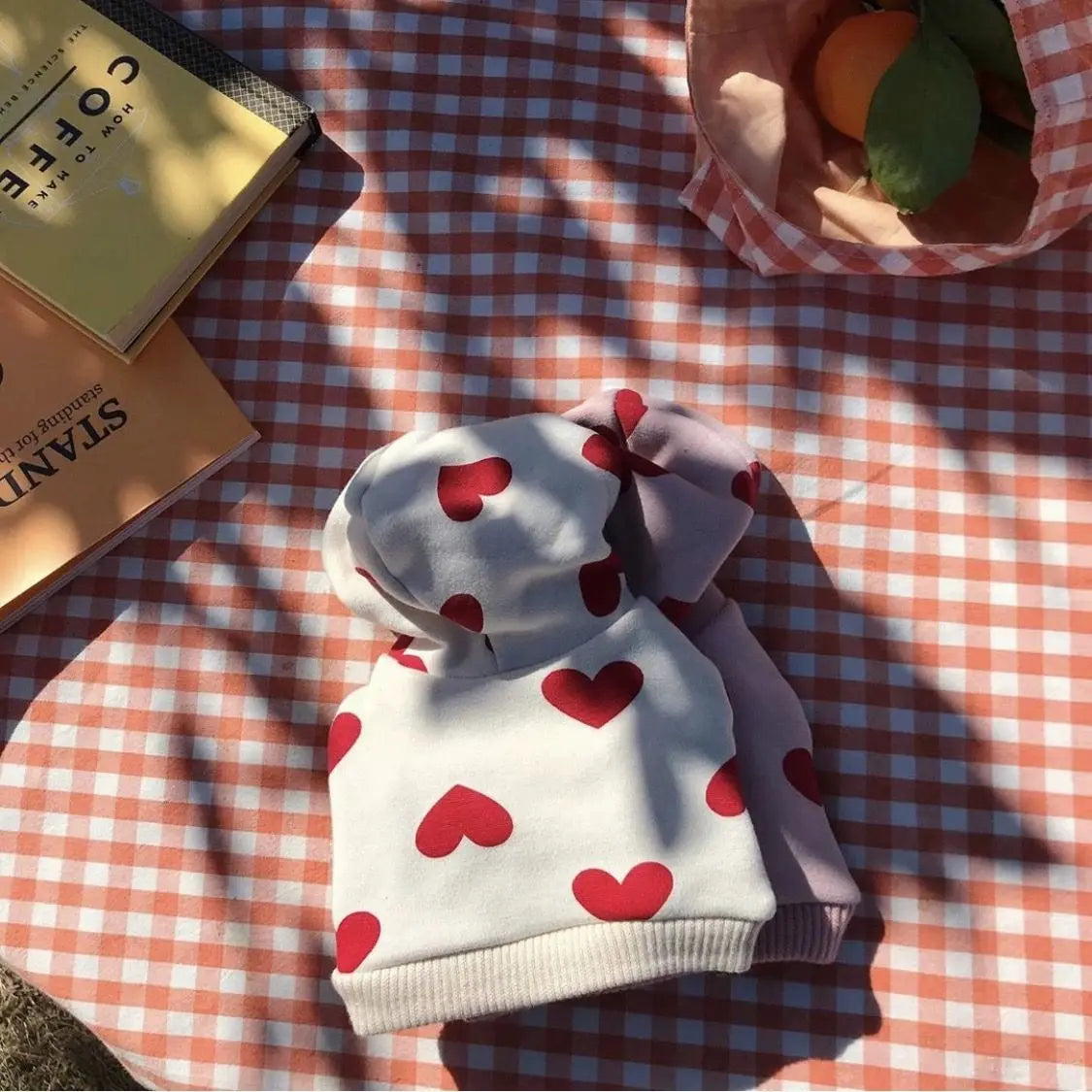 Heart Hoodie for Small & Medium Dogs (XS–XXL)
