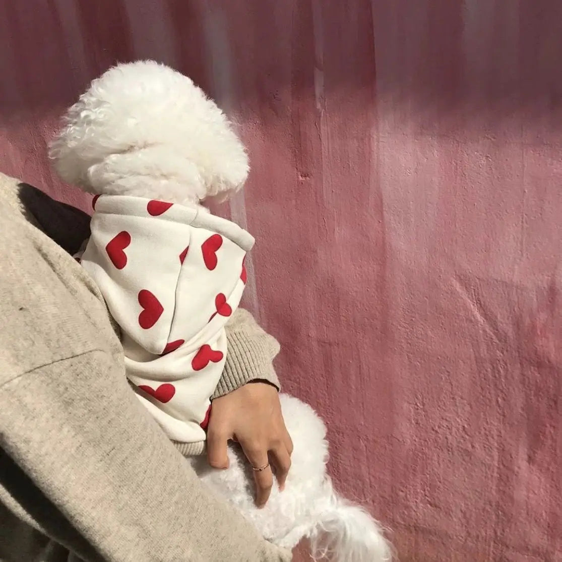 Heart Hoodie for Small & Medium Dogs (XS–XXL)