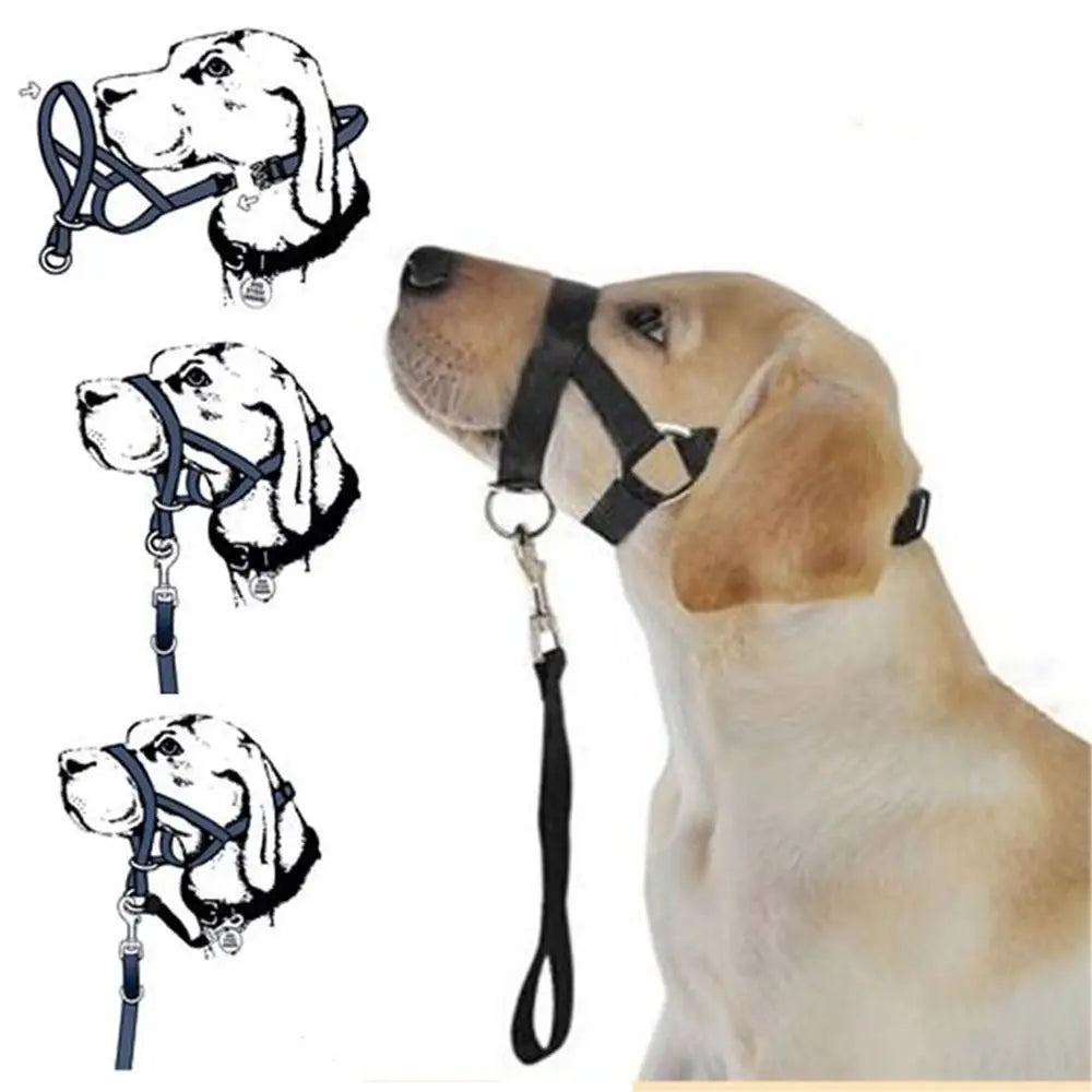 Basic No-Pull Head Halter — Black (S–XXL)