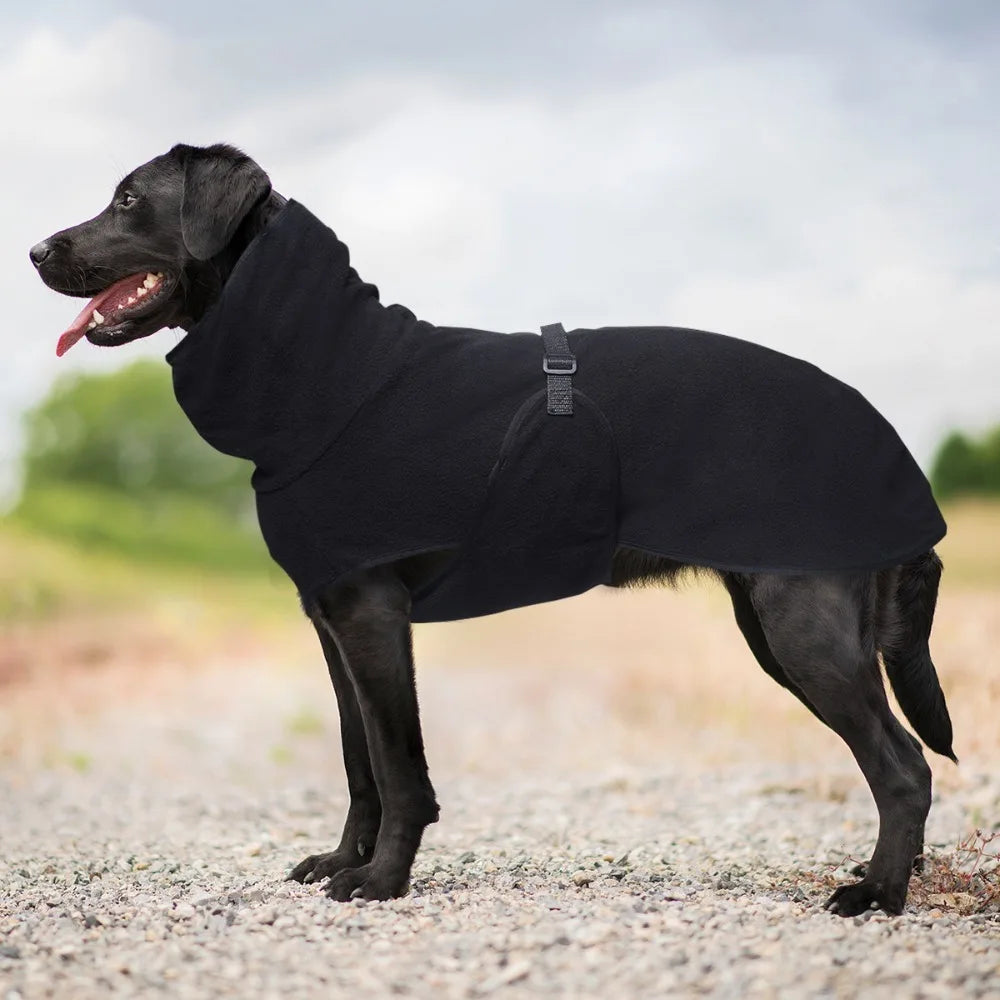 High-Neck Thermal Dog Jacket — Windproof Winter Layer (S–5XL)