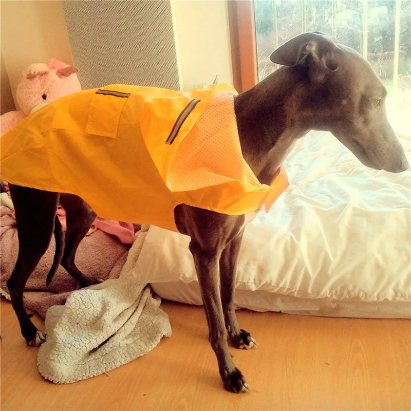 Waterproof Dog Raincoat with Hood & Reflective Stripe (S–6XL)