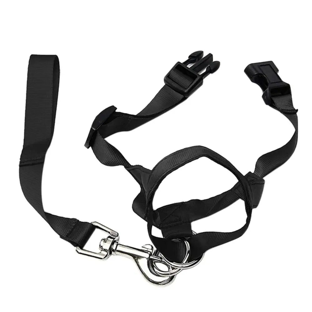 Basic No-Pull Head Halter — Black (S–XXL)