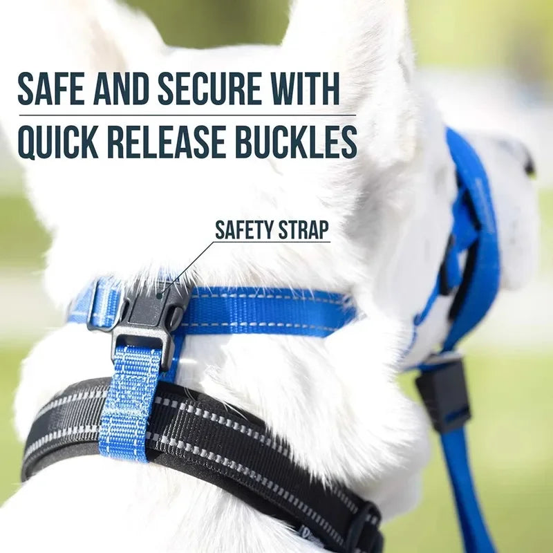 Padded No-Pull Head Halter — Reflective Comfort Fit (S–XL)