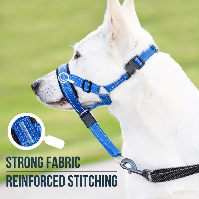 Padded No-Pull Head Halter — Reflective Comfort Fit (S–XL)