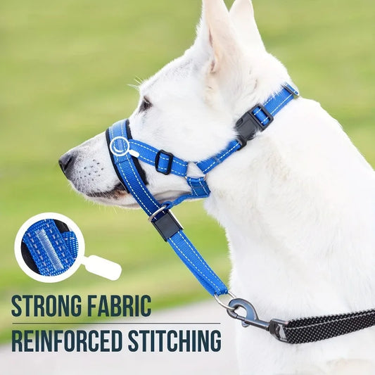 Padded No-Pull Head Halter — Reflective Comfort Fit (S–XL)